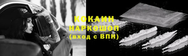 соль ск Богородицк